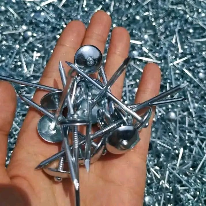 Roofing Nails